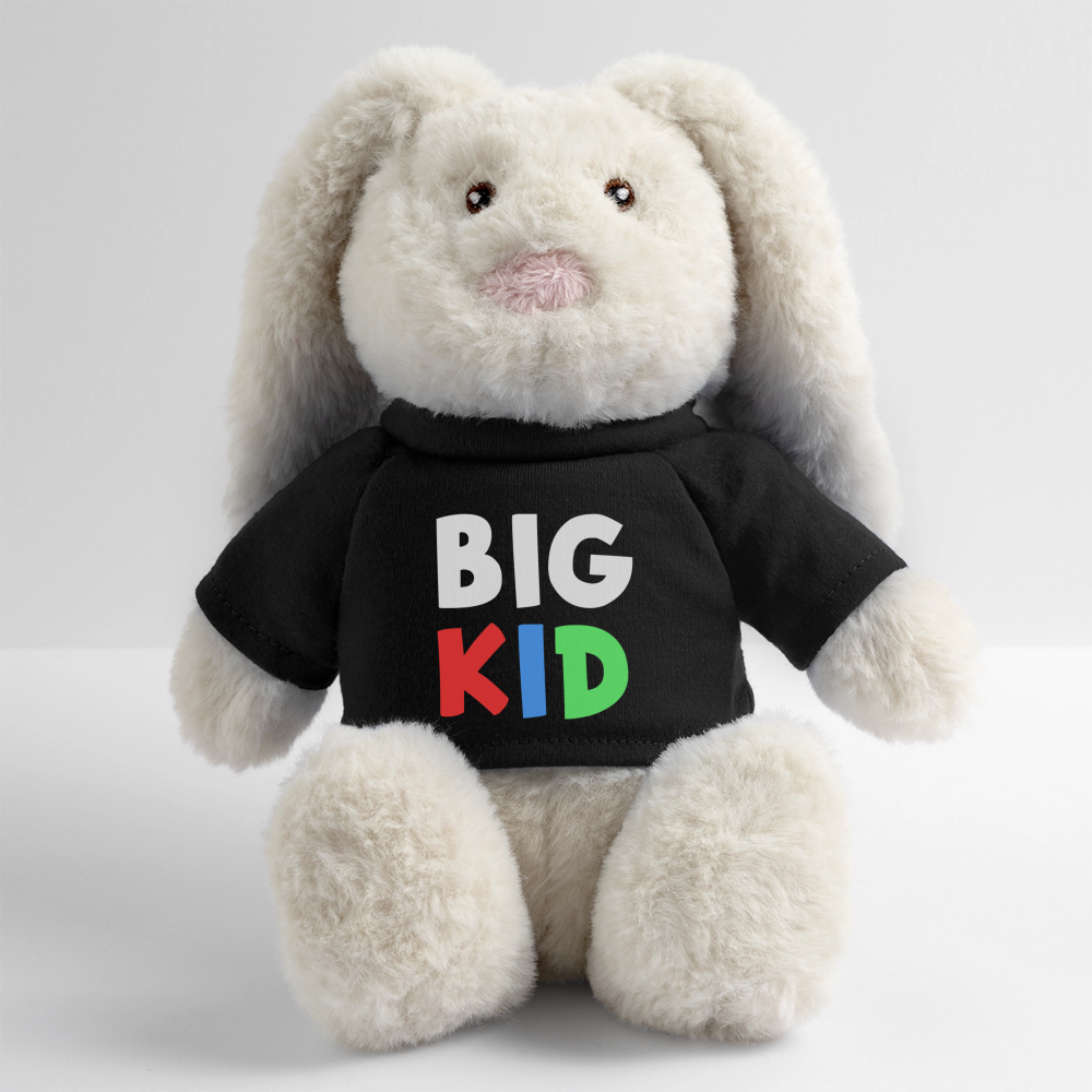 BigKid - Teddy
