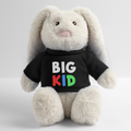 BigKid - Teddy