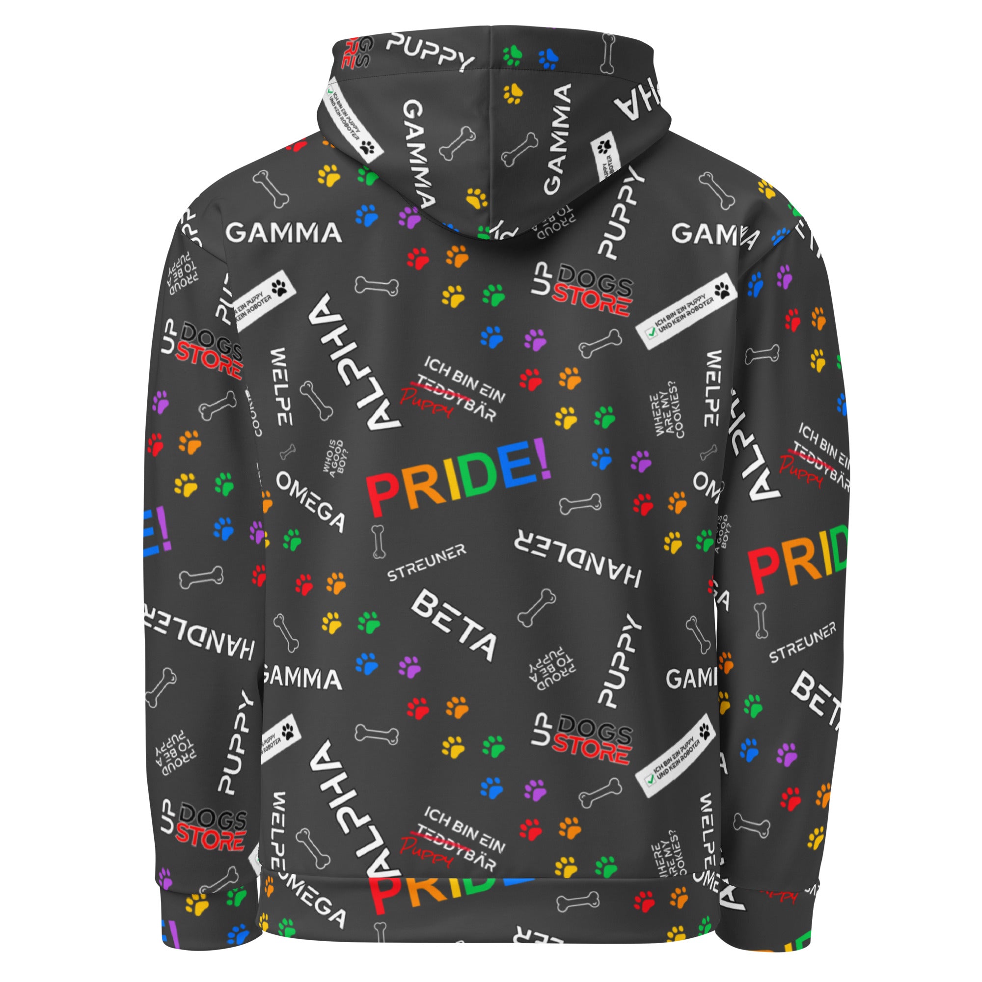 Rank Colorful / Hoodie