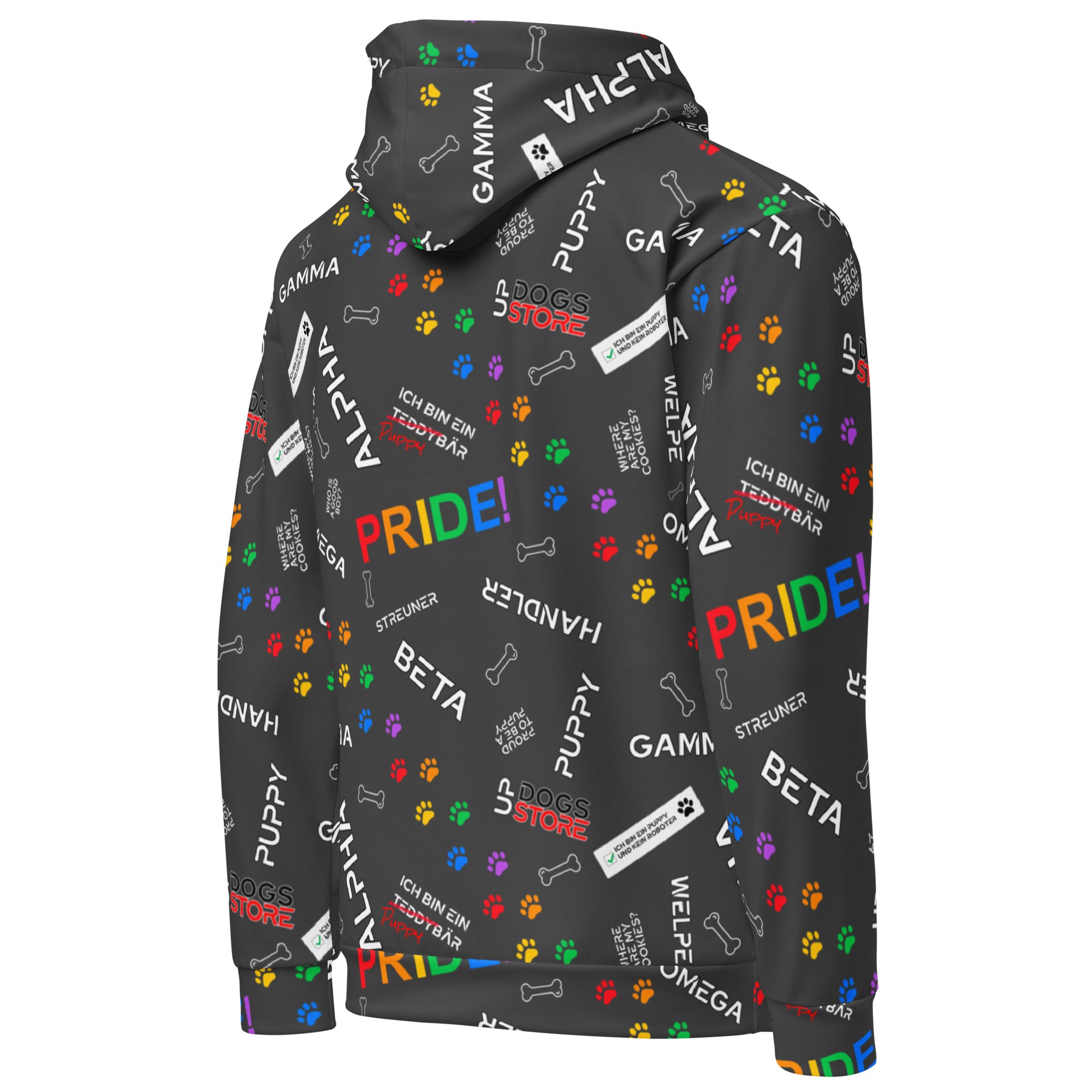 Rank Colorful / Hoodie