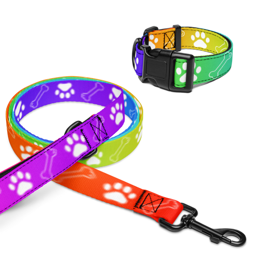 Farbenfroh - Collar & Leash
