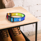 Farbenfroh / Halsband & Leine