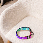 Farbenfroh / Halsband & Leine