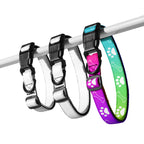 Farbenfroh / Halsband & Leine