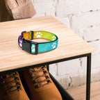 Farbenfroh / Halsband & Leine