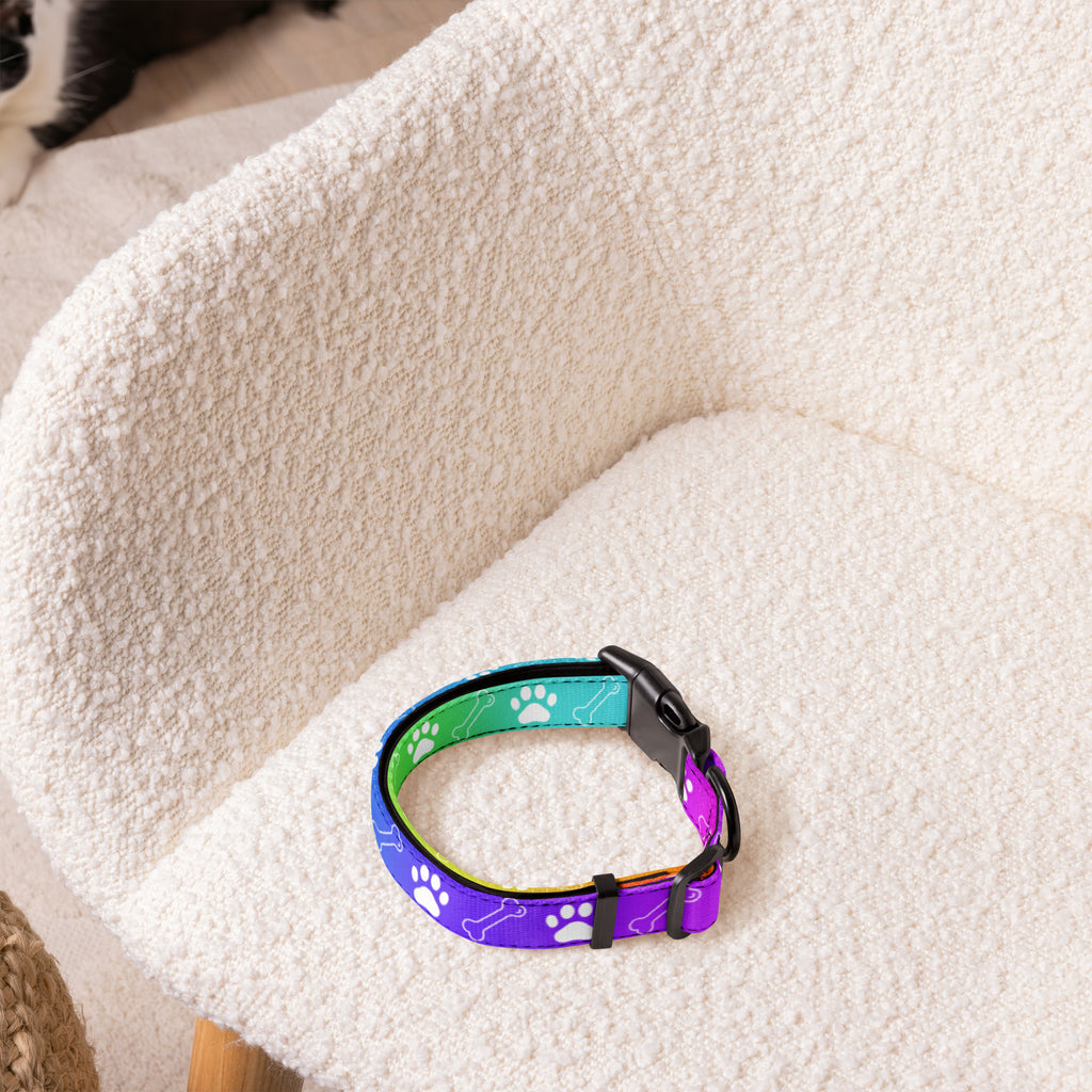 Farbenfroh / Halsband & Leine
