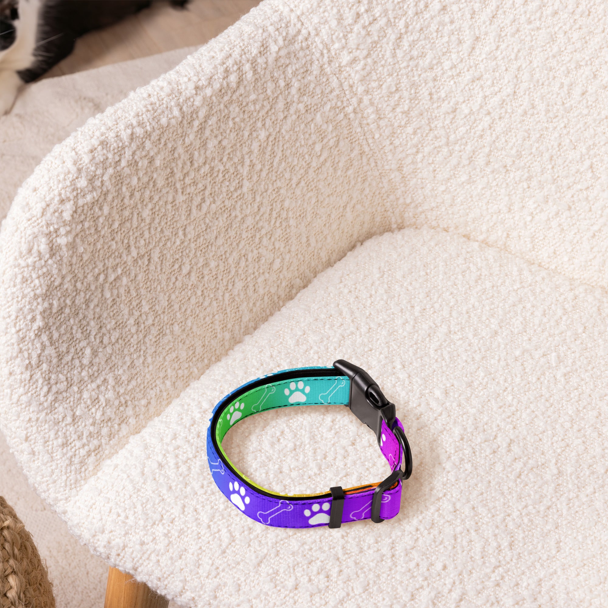Farbenfroh / Halsband & Leine