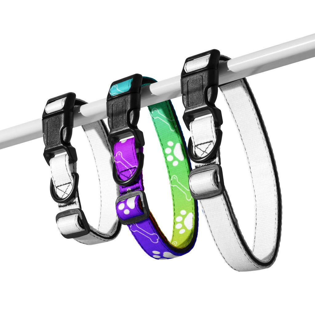 Farbenfroh / Halsband & Leine
