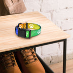 Farbenfroh / Halsband & Leine
