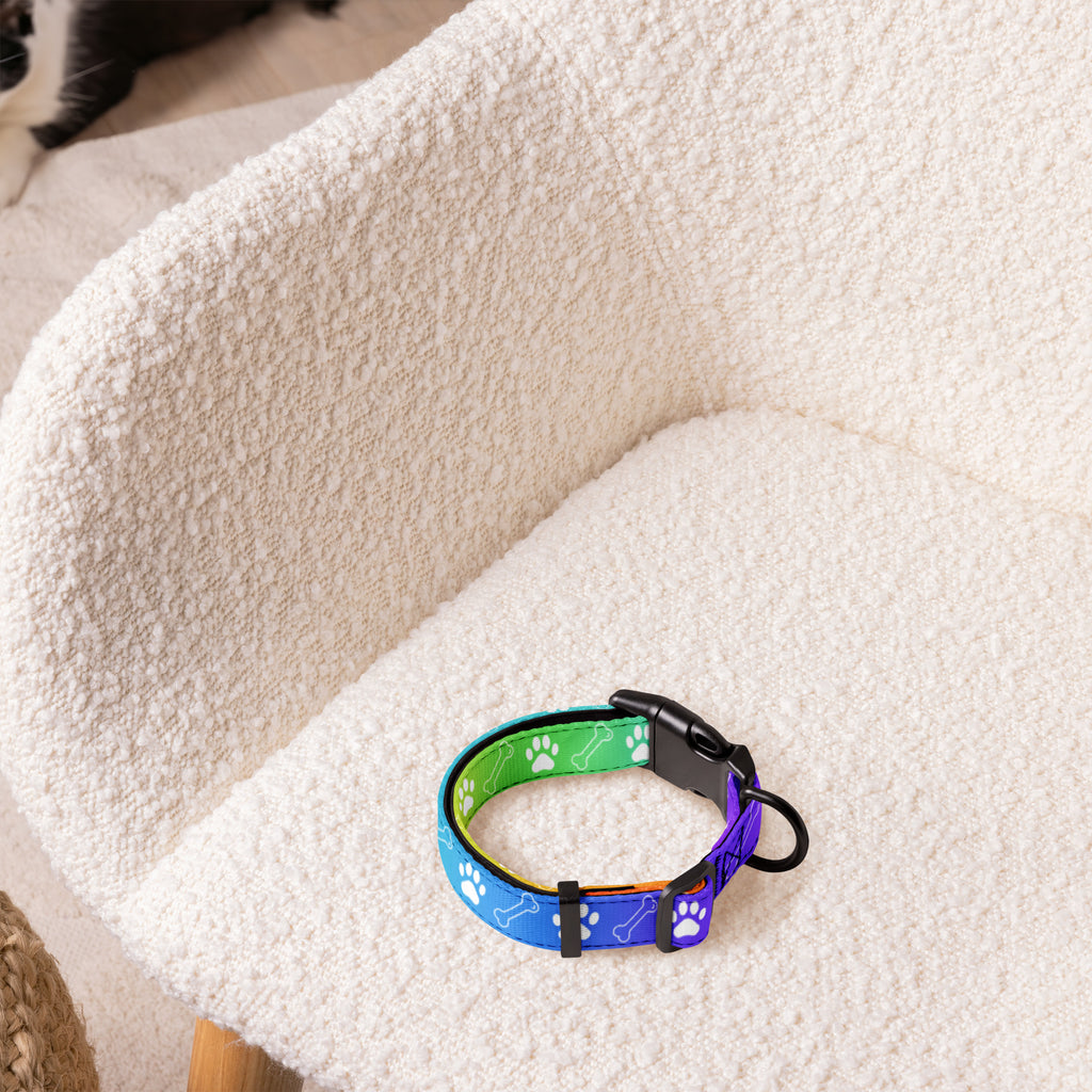Farbenfroh / Halsband & Leine