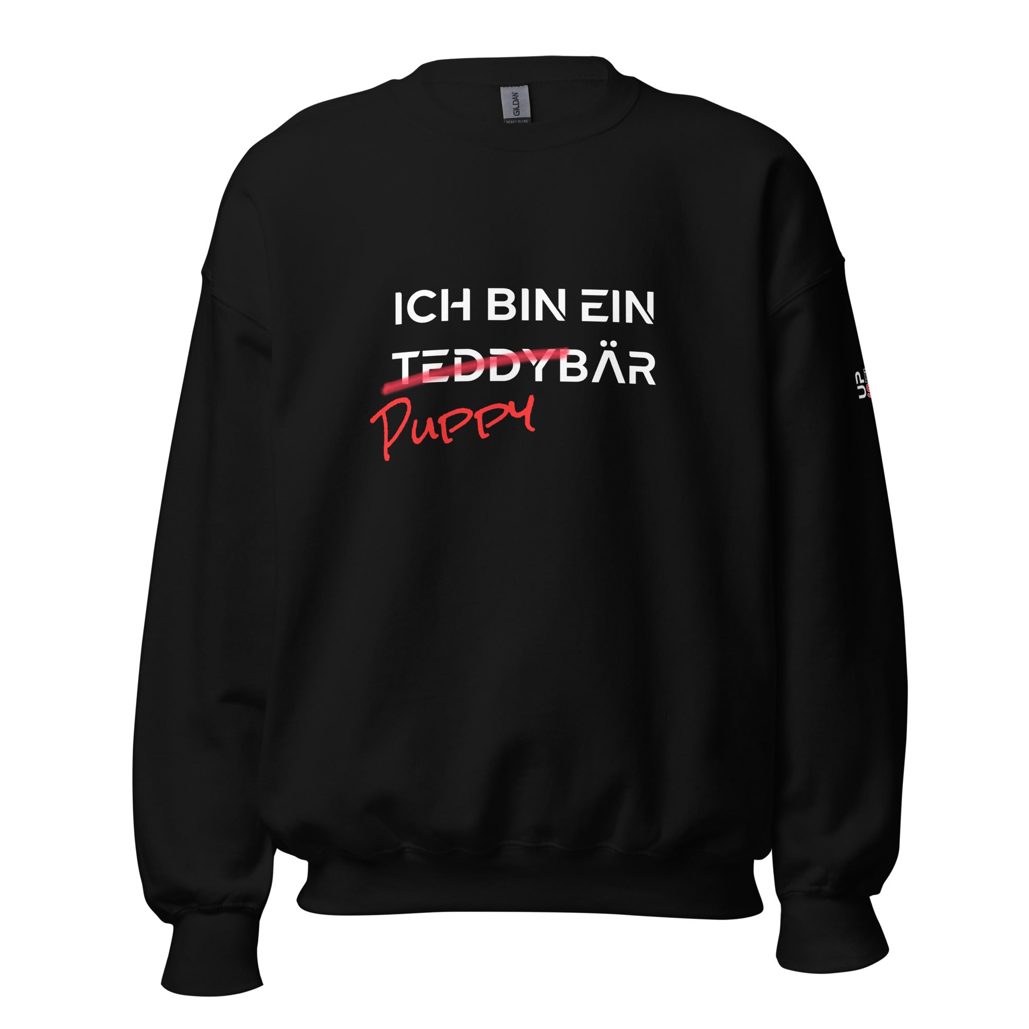 Ich bin ein PuppyBär / Pullover