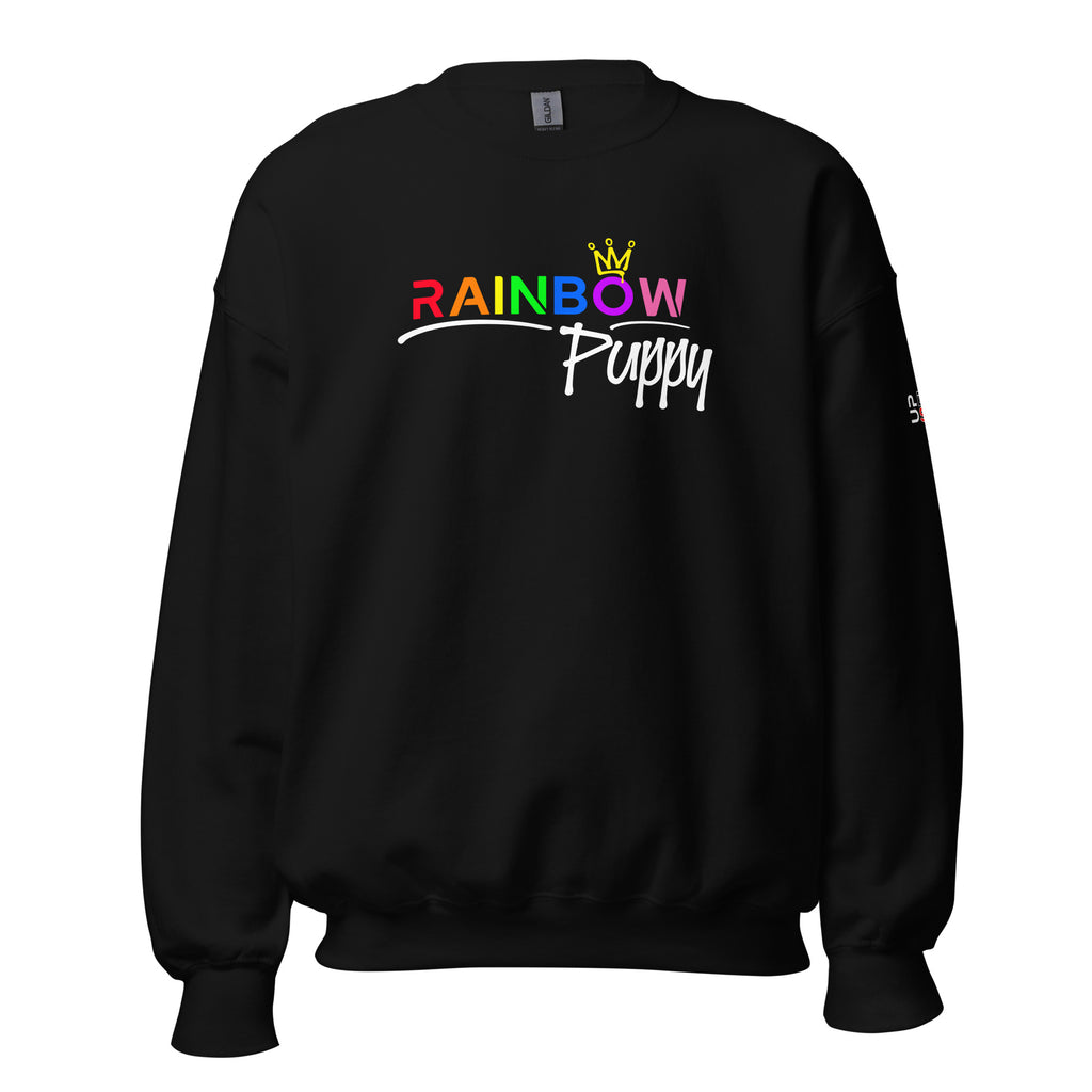Rainbow Puppy Crown - Pullover