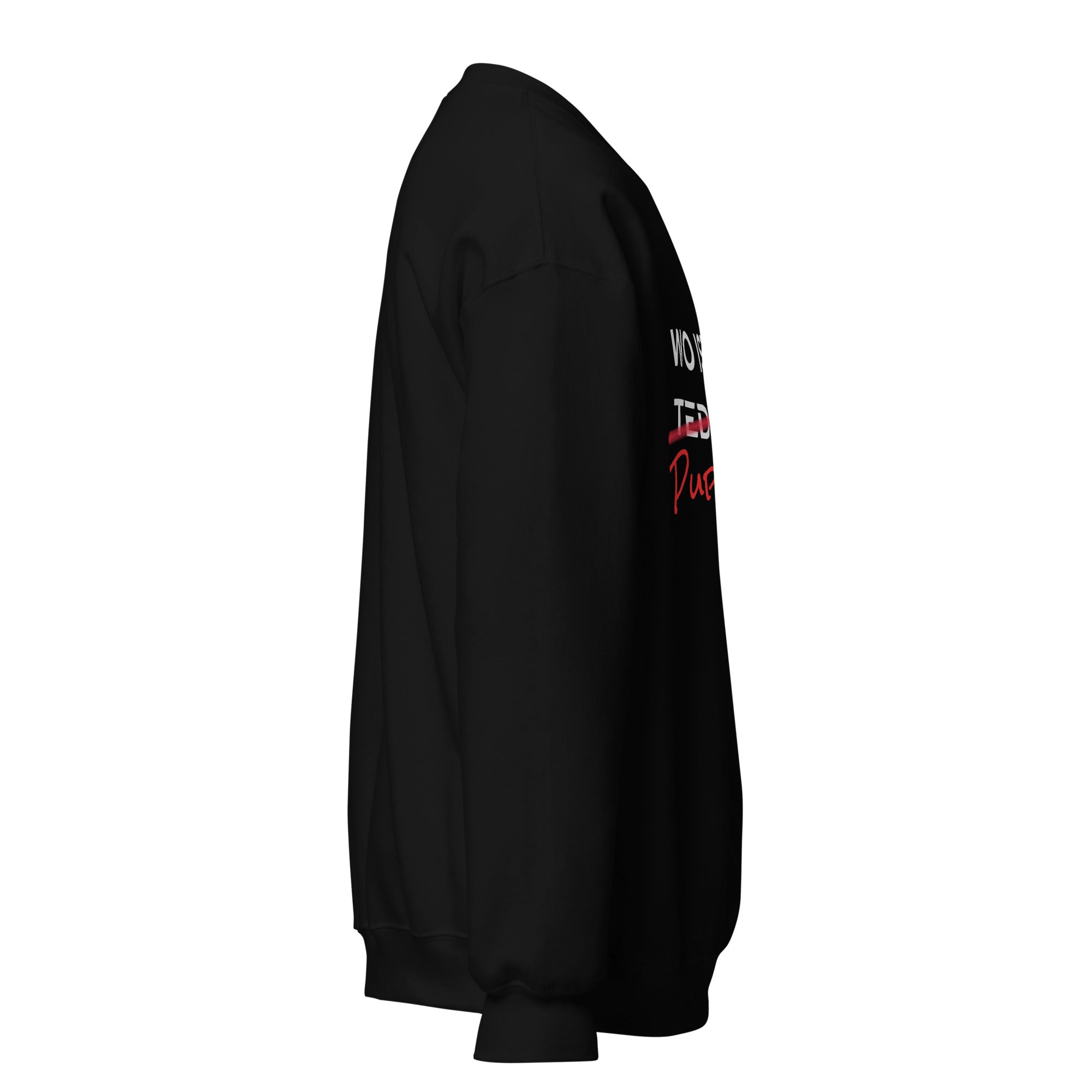 Wo ist mein PuppyBär / Pullover
