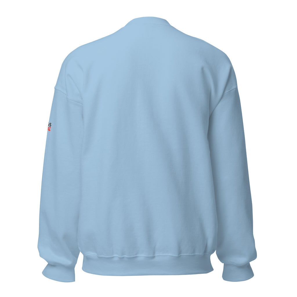 Big Bro - Pullover - Customize