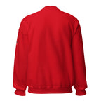 Big Bro - Pullover - Customize