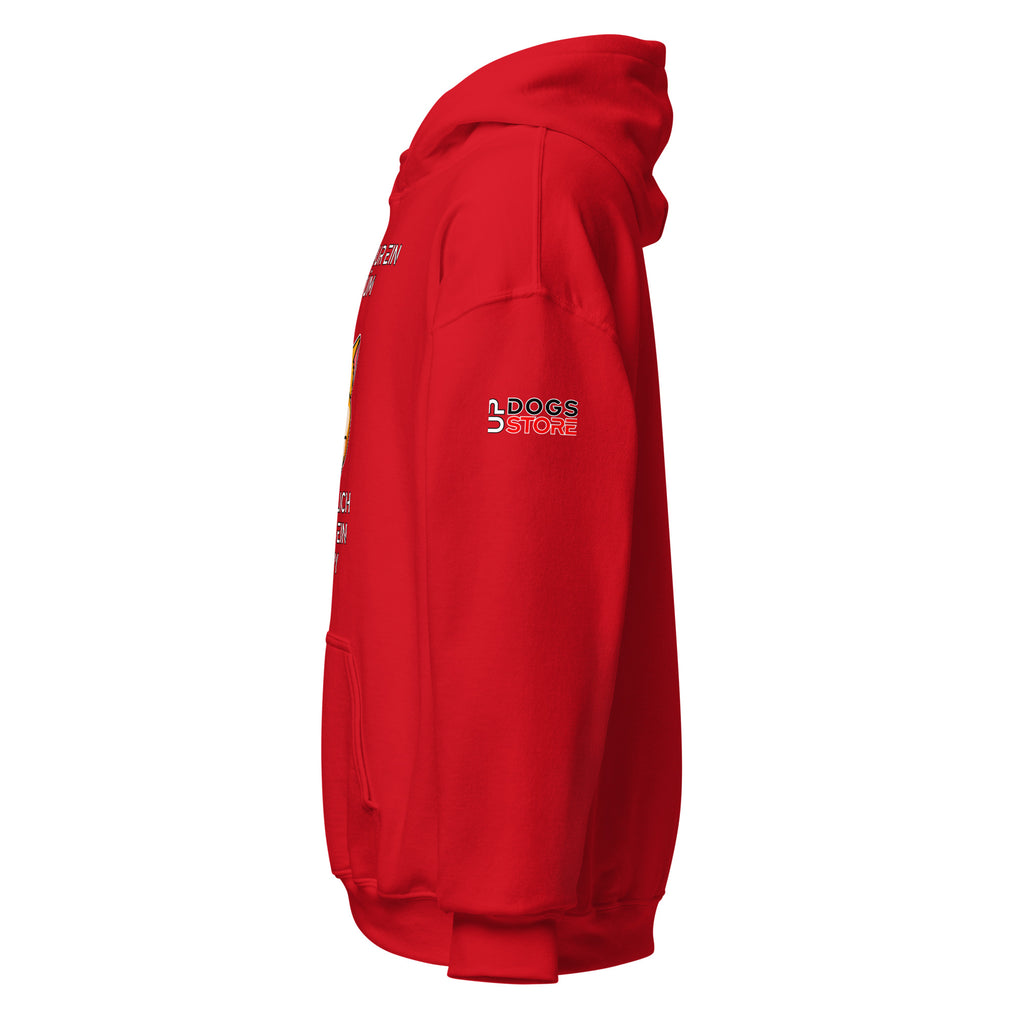 Das ist nur ein Kostüm / Hoodie